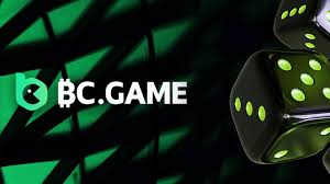Everything You Need to Know About BC.Game Log In 2